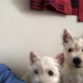 12月も後半に！の画像