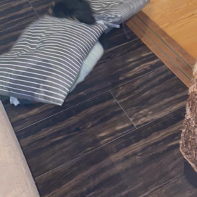 遊んでるの画像