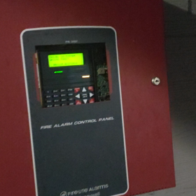 ピーの正体の画像