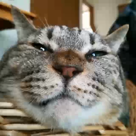 ソラ&キキ　オナラについて考えてみる。の画像