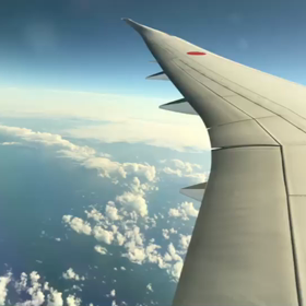 ジューンブライドの画像