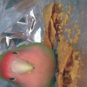 #アトピー治って世界がキラキラの画像