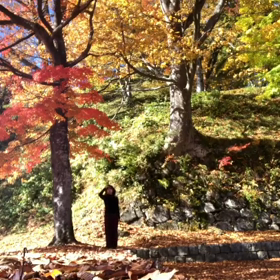 風のおどり #6の画像