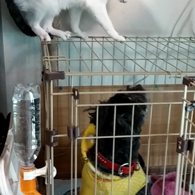 何をしたい？の画像