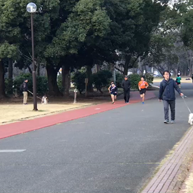 多摩湖駅伝に向けて⑤の画像