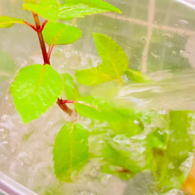 介護記録９３（ケアマネ月一訪問）の画像