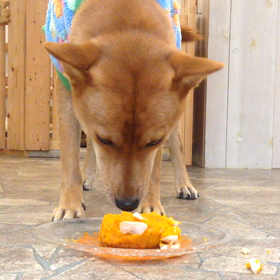 クリスマスケーキ！はふはふっ！の画像