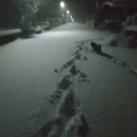 寝れない夜の画像