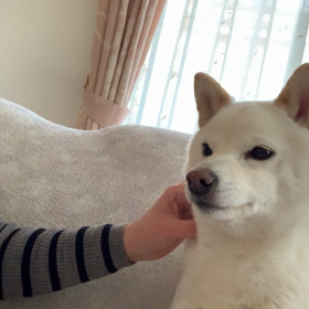 マッサージの画像