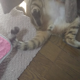 ぽっかぽか☀️の画像