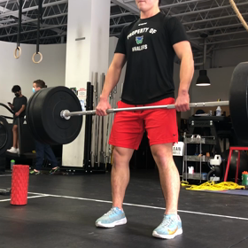 我が家のポパイの画像