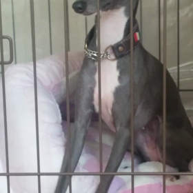 少しでも～の画像