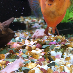 癒しの食事風景の画像