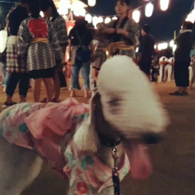 盆踊り大会の画像