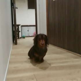 おにごっこ？！の画像