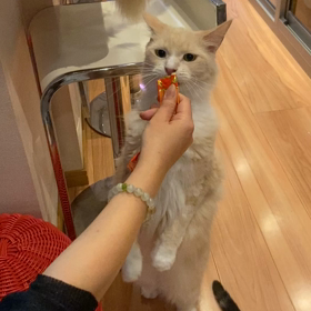 今日はちらし寿司の日の画像