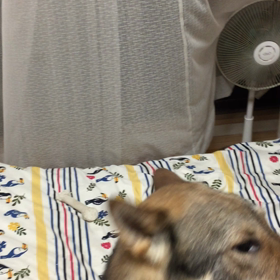 サッカーワールドカップの画像