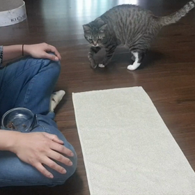 トレーニングって必要？！の画像