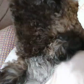 ヒマーチ③ラストの画像