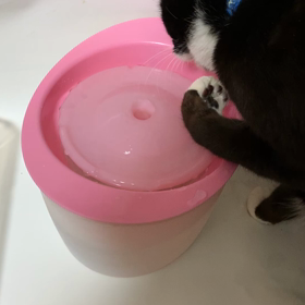 2021-38)　こりゃ旨い！　蛇口の水は一味ちがう？！相棒の蛇口ブームの画像