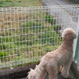 出勤お見送りの画像