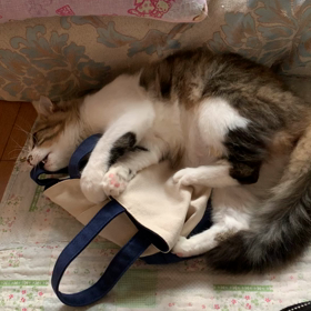 カバンは もものオモチャの画像