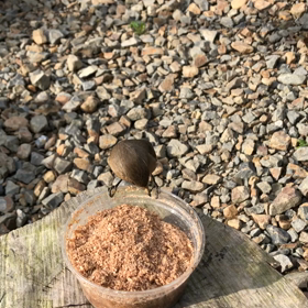 ジョウビタキ⑭ジョビの食欲にビックリの画像