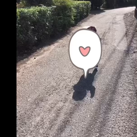 1y6m27d わんわんダンスと散歩中遭遇した人の画像