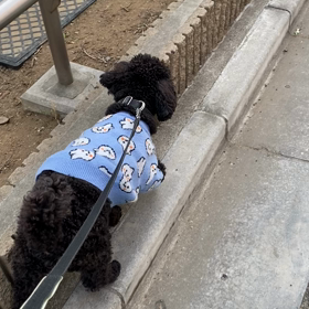 朝食早め^ ^の画像