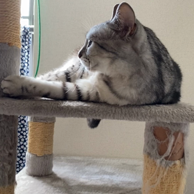 タイトルと画像の画像