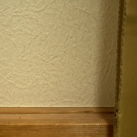 はい、ひょっこりはんの画像