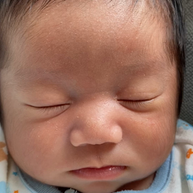 21日で1ヶ月むかえますの画像