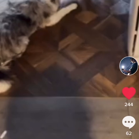 TikTok アップの画像