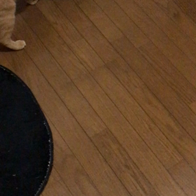 昨日で11ヶ月。の画像