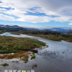 普通電車に揺られて癒し旅の画像