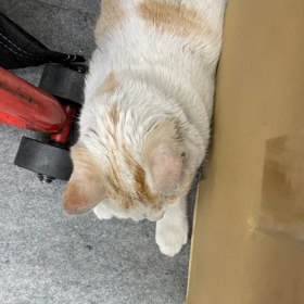 ライトくん動画(=^ェ^=)の画像