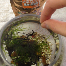 あれ一日に2個もブログかいてますの画像