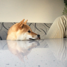 ブログ始めました♫の画像