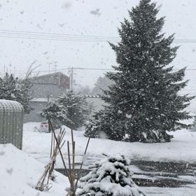 と思っていたらの画像