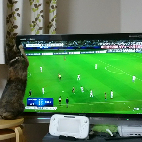 サッカー観戦の画像