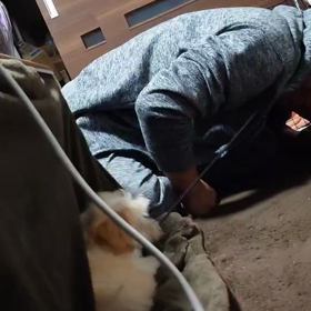 モカくん､やめて～。の画像