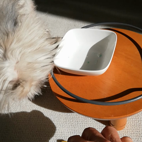 今日のいっくんの画像