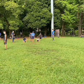 ダッシュ(茶色チーム)④の画像