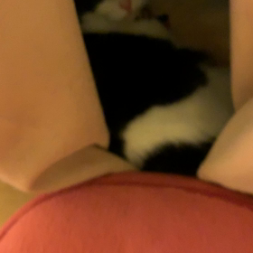 かみなりと雨の監督の画像