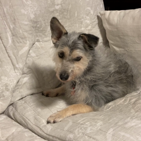 大学病院で検診　術後3年半の画像