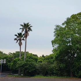 唐人駄場付近にて☆動画の画像