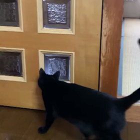 居間からの脱走の画像