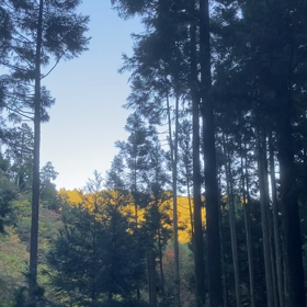 来たぜ1111  前略　馬の上からの画像