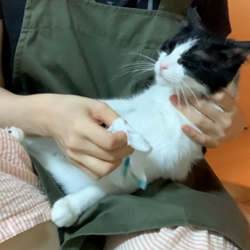 お顔拭き拭き、気持ち良さそうですの画像