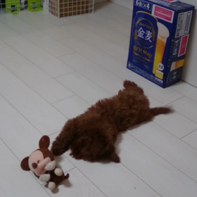 みっきーの画像